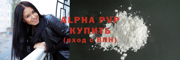 apvp Алзамай