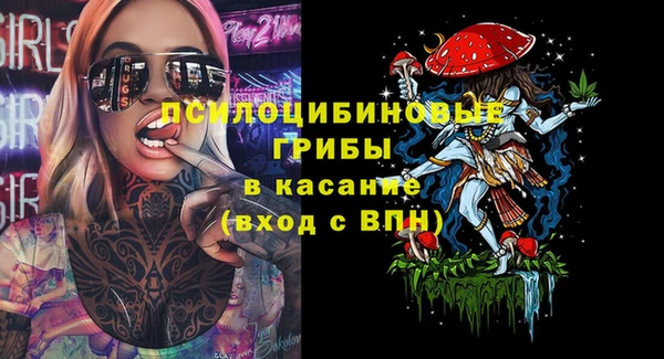apvp Алзамай