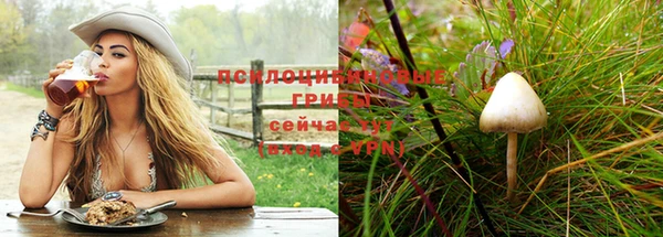 соль курить ск Алексеевка