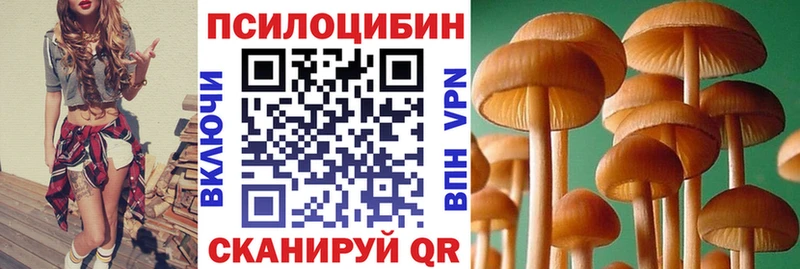 Галлюциногенные грибы мицелий купить Ревда