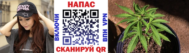 MEGA рабочий сайт  закладки  Ревда  Марихуана план 